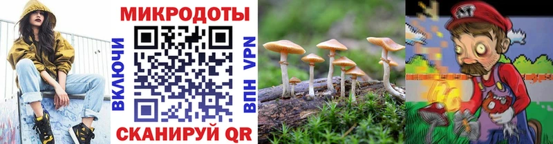 купить наркотики сайты  кракен   Галлюциногенные грибы прущие грибы  Лебедянь 